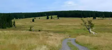 Velká Jizerská louka