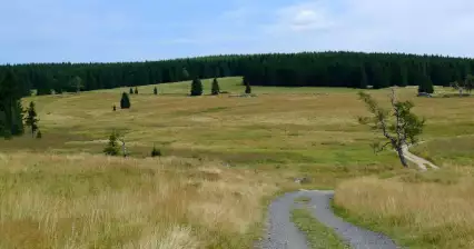 Velká Jizerská louka