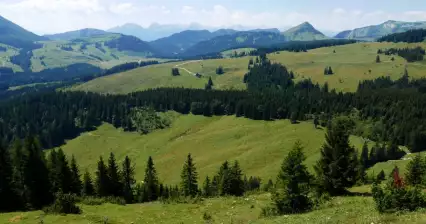 Weiden Postalm