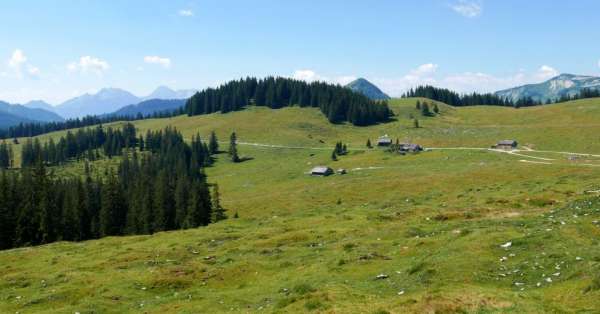 Looking back at the Wiesleralm