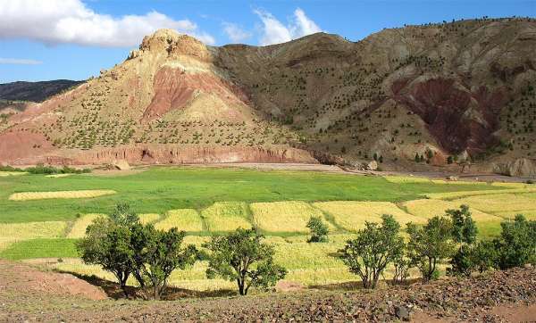 Picturesque fields