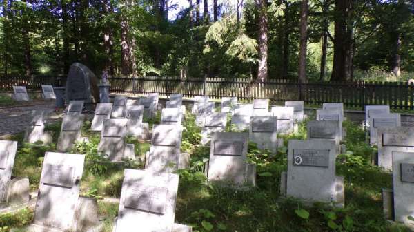 Forest cemetery