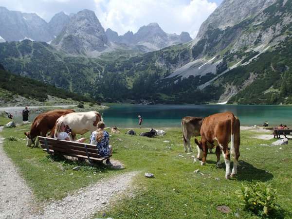 Jezioro Seebensee