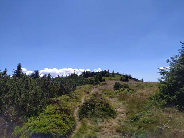 On the lookout of the Red Mountain