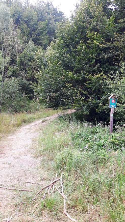 Verlenging van de wandeling naar de bergkam