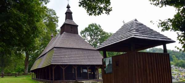 Topola: Pogoda i pora roku