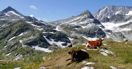 Wycieczka po jeziorze Weißsee
