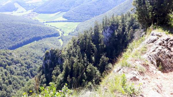 Paysage diversifié