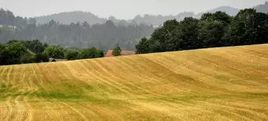 Hochland