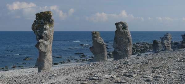 Рауки на острове Форё: Размещение