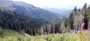 Escursione Sedlo Javorinky - Sgabello