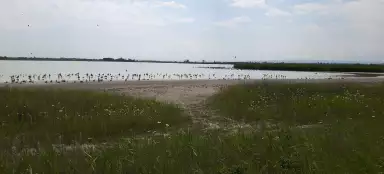 Lago Nezider