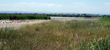 ネジデル湖沿いを自転車で走る