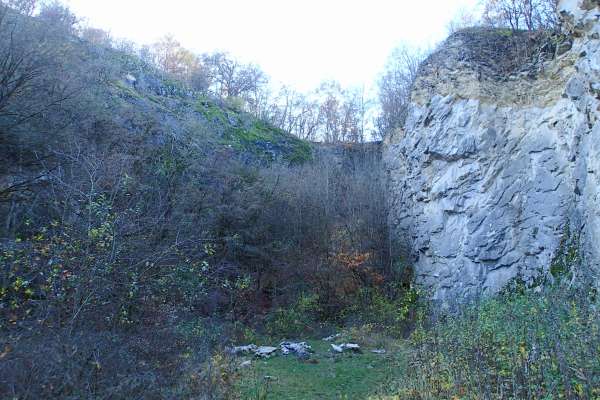 Overgrown rock walls