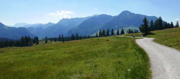 Blick auf den Braunedlkogel