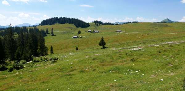 Blick auf die Wiesleralm