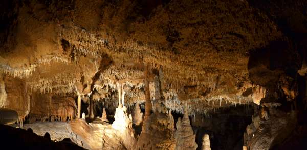Décoration de stalactites