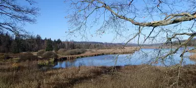 Padrťské rybníky