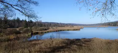 Reis naar Padrť-vijvers