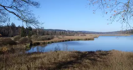 Viaje a los estanques de Padrť
