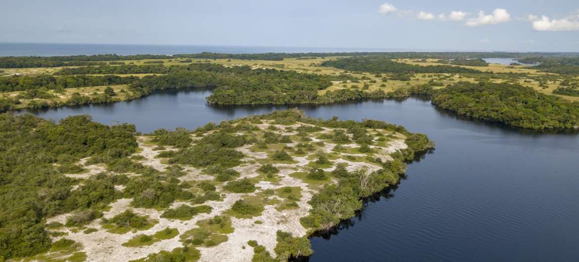 destinácie Loango National Park