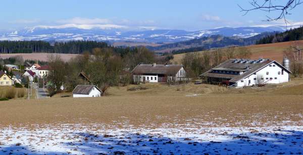 Výhľad na Syřenov a Krkonoše