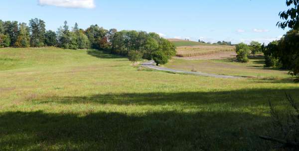 Skalka pod Kumburk