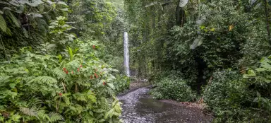 Cascade de Bombaim