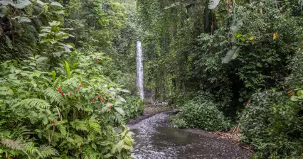 Bombaim-waterval