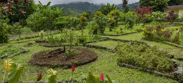 Guter Erfolg Botanischer Garten: Wetter und Jahreszeit