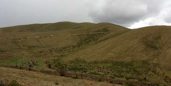 Desolato Altiplano