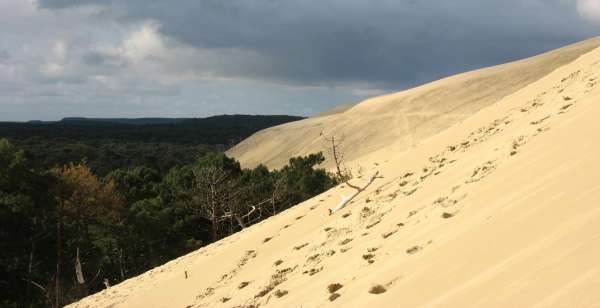Výstup na dunu