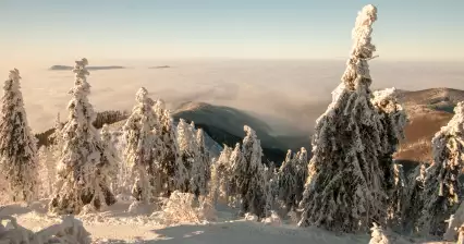 Lysá hora