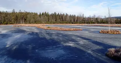 Chalupská slať v zimě