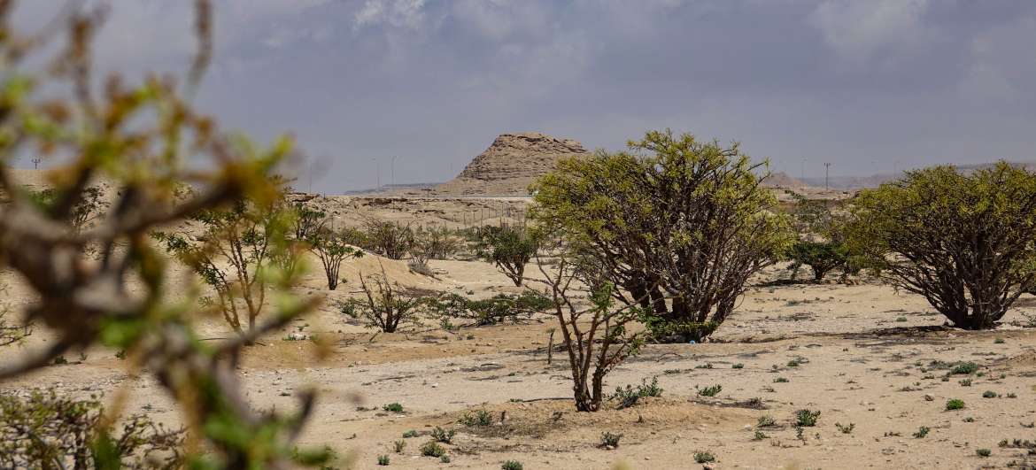 destinácie Dhofar