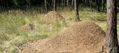 Die schönsten Ausflüge in Brdy