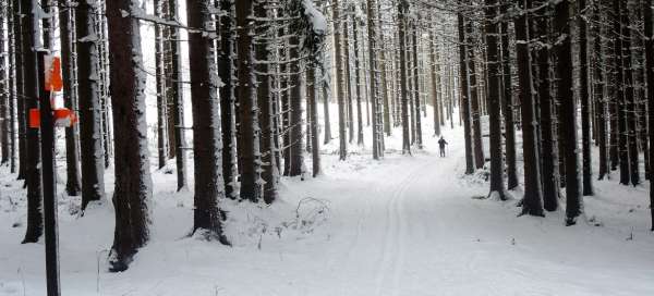 Circuit dans les forêts de Čejovské: Hébergement