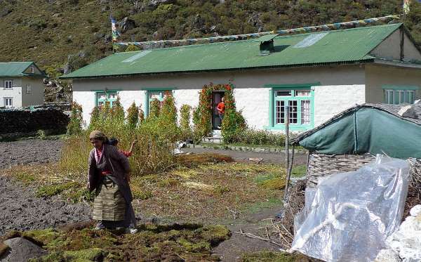 Life in Khumjung