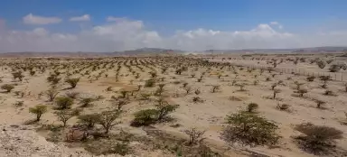 Wadi Dawkah