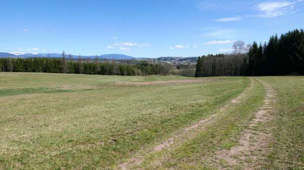 Eine unbefestigte Straße zum Kreis