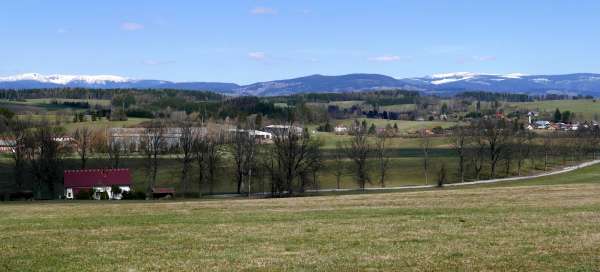 Behind Tuláček's grove