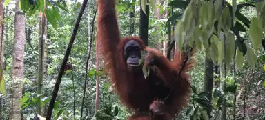 Traveling around North Sumatra