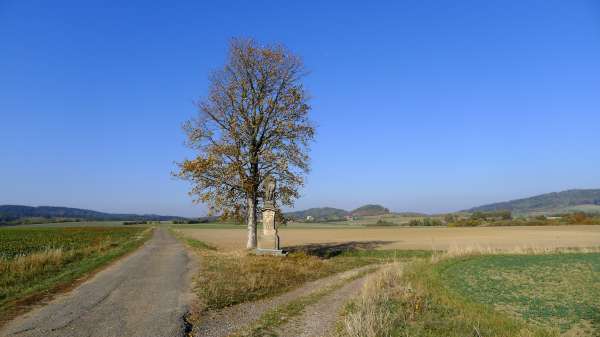 Statue des hl. František u Březiny