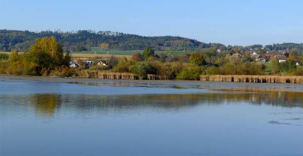 Ostruženský pond