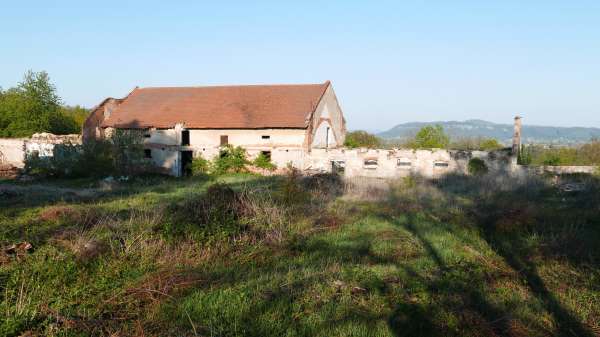 Ruinas de la corte Pachouň