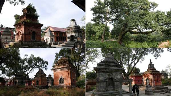 Balade entre les temples