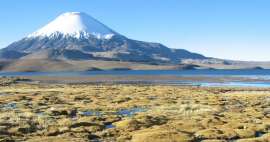 The most beautiful tours in the NP Sajama and Lauca