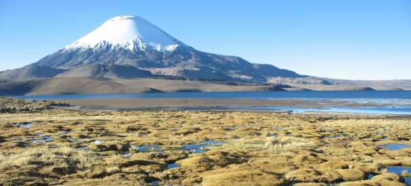 The most beautiful tours in the NP Sajama and Lauca