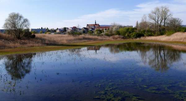 Valdice pond