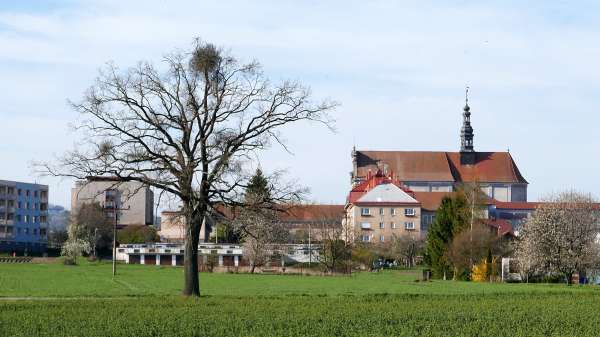 Weg zurück